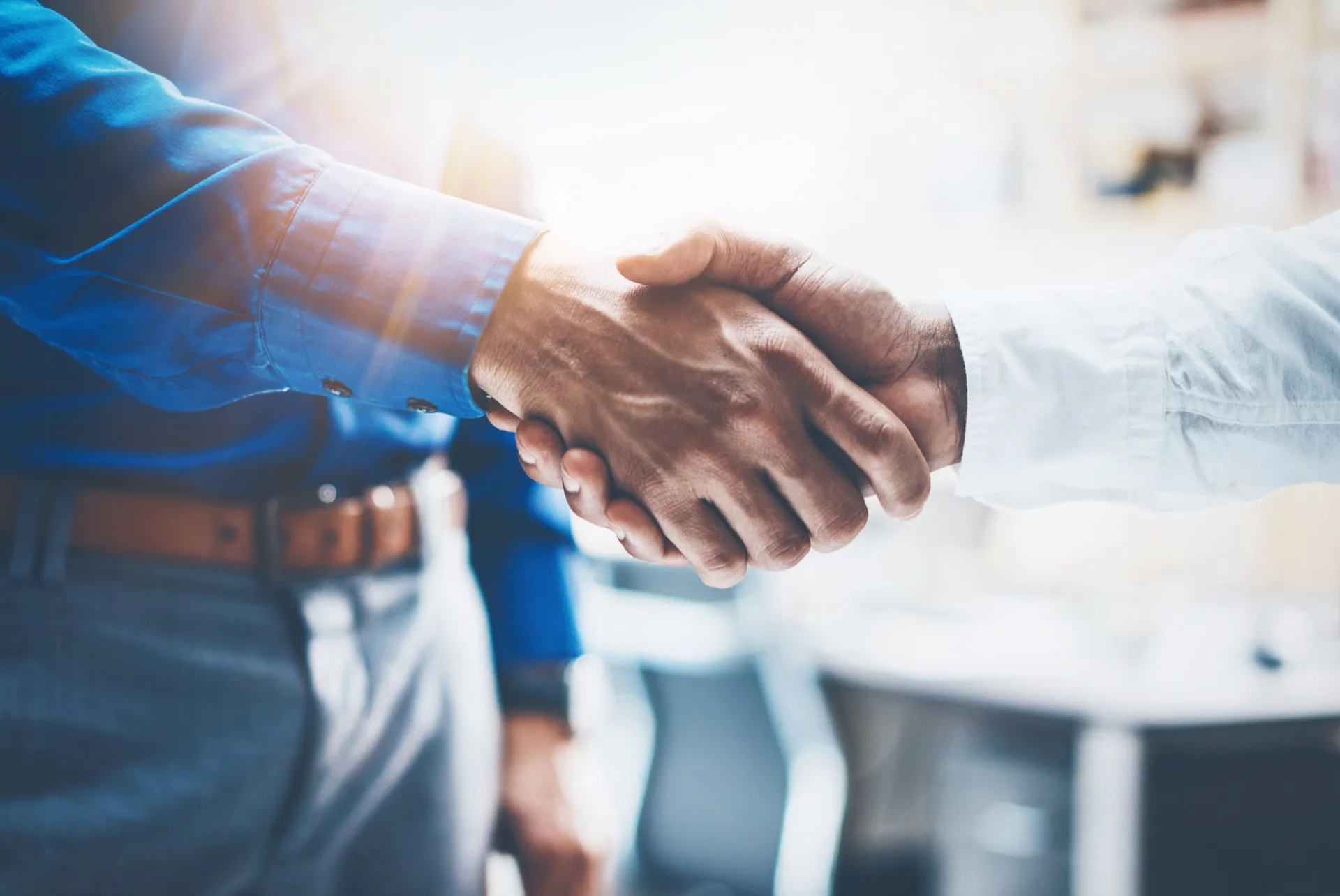 Die perfekte Basis: Ausbildung und Coaching